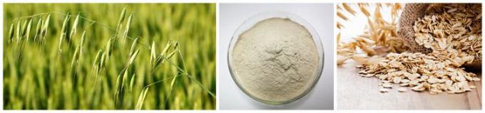 Las semillas de la avena extraen el polvo dietético el 70% Beta Glucan de la fibra