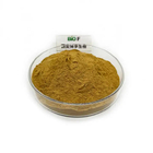 Brown Light Natural Cosmetics Raw Materials Hami Melon Fruit Extract Powder
