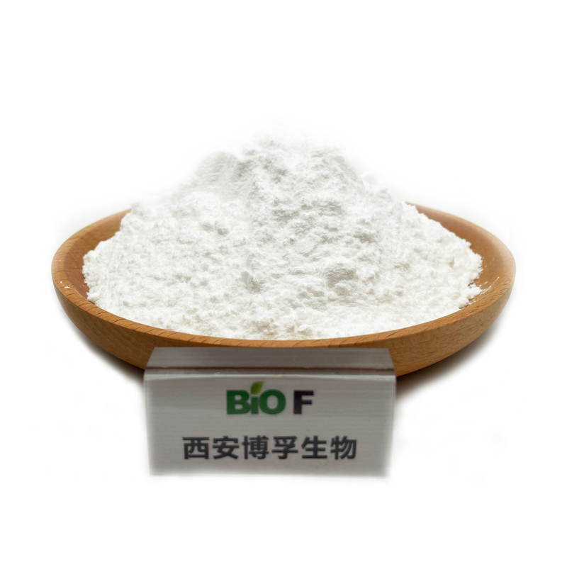 White Health Grade Palm Fatty Acid 45% Saw Palmetto Fruit Extract Powder