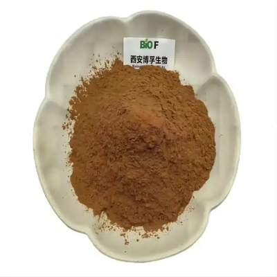 Brown Color  Health Care Grade Yohimbin Extract Bark Powder Extract 10:1