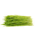 Pure Nature Wheat Grass Juice Powder For Vitamins 5:1 Purifying  Liver
