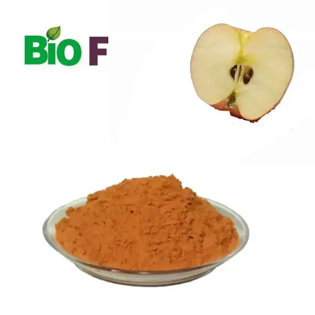 Fruit Extract Powder Organic Apple Extract For Good Grade