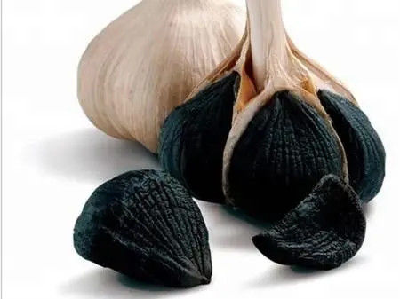 Producto de salud Extracto de aceite de ajo negro 99% de pureza